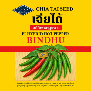 কাঁচা মরিচ (Green Chili):