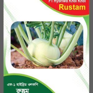 🌿 এফ-১ হাইব্রিড ওলকপি  রুস্তম