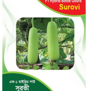 🥒 এফ-১ হাইব্রিড লাউ সুরভী