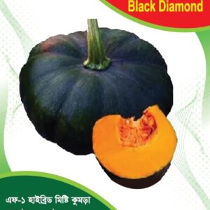 এফ - ১  হাইব্রিড মিষ্টি কুমড়া ব্ল্যাক  ডায়মন্ড