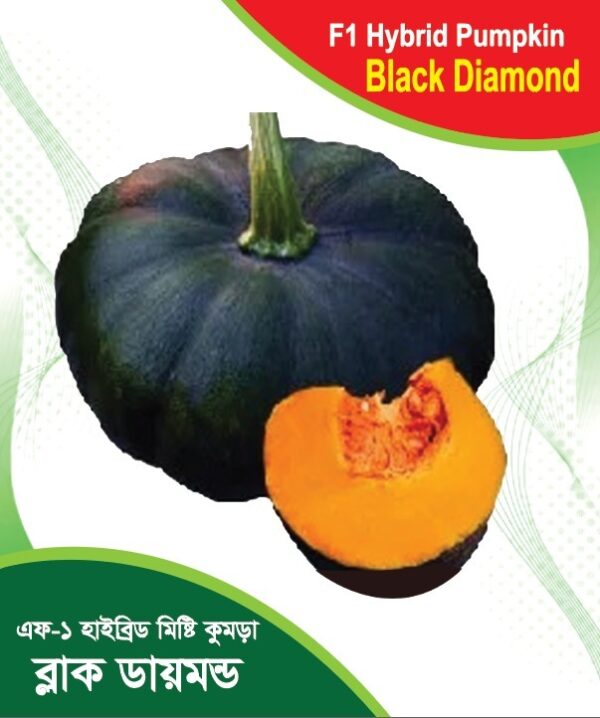 এফ - ১  হাইব্রিড মিষ্টি কুমড়া ব্ল্যাক  ডায়মন্ড