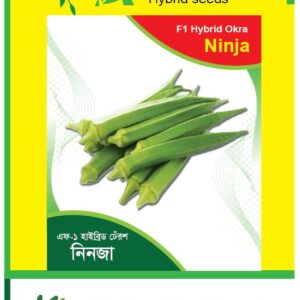 নতুন শক্তি, নতুন ফলন!